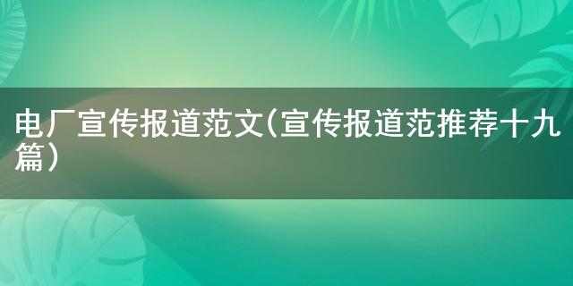 电廠宣稱報道範文(宣称报道范推选十九篇)